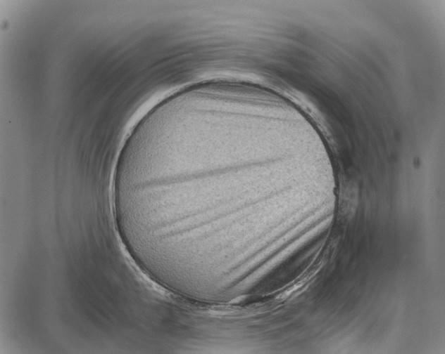 X0000087051199200705091128