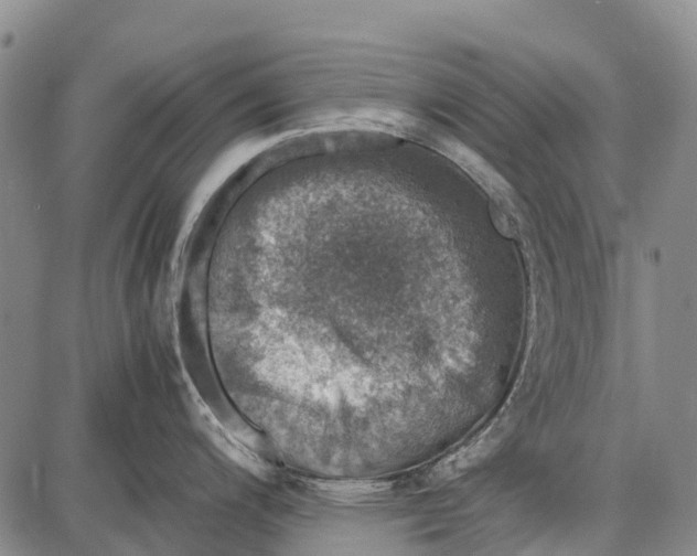 X0000087051200200705091128