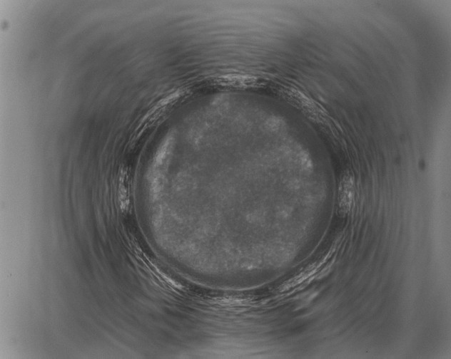 X0000087051202200705091127