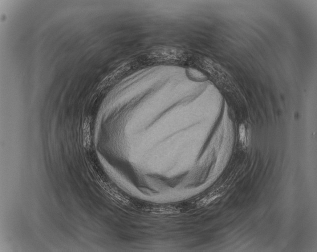 X0000087051203200705091127