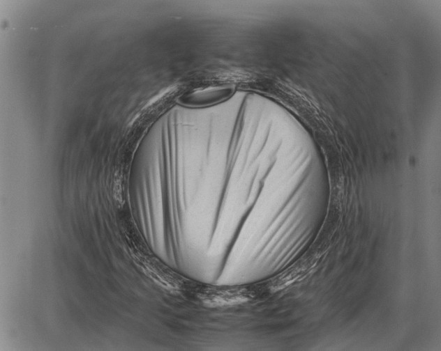 X0000087051205200705091127