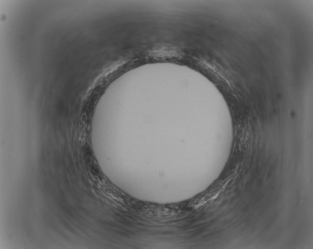 X0000087051207200705091127