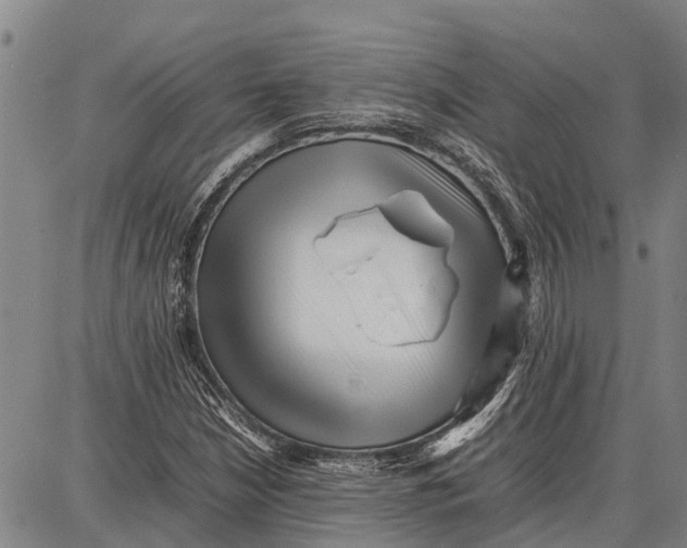 X0000087051210200705091127