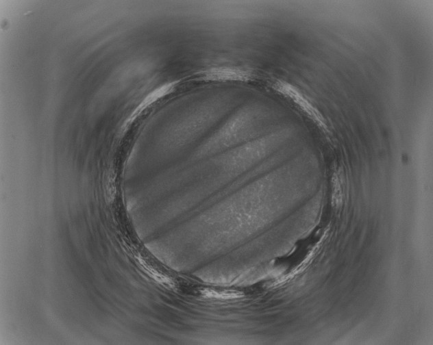 X0000087051213200705091127