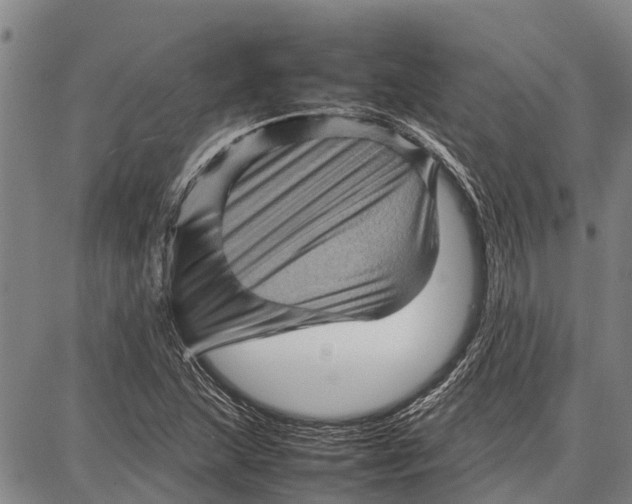 X0000087051215200705091127