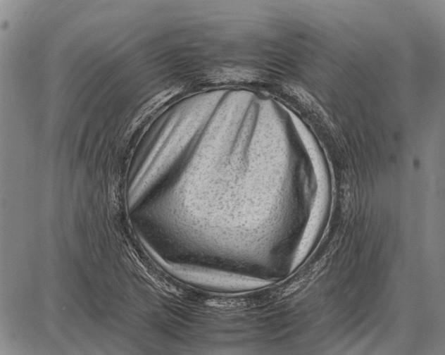 X0000087051217200705091127