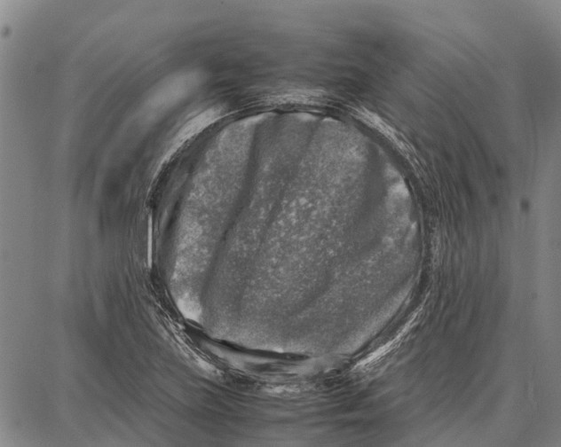 X0000087051219200705091127