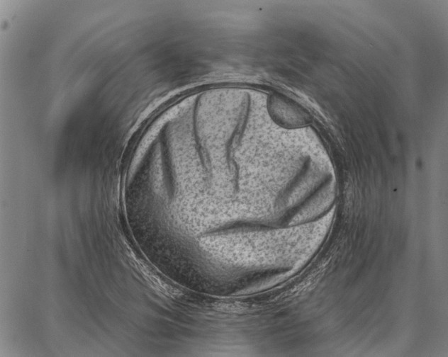 X0000087051220200705091127