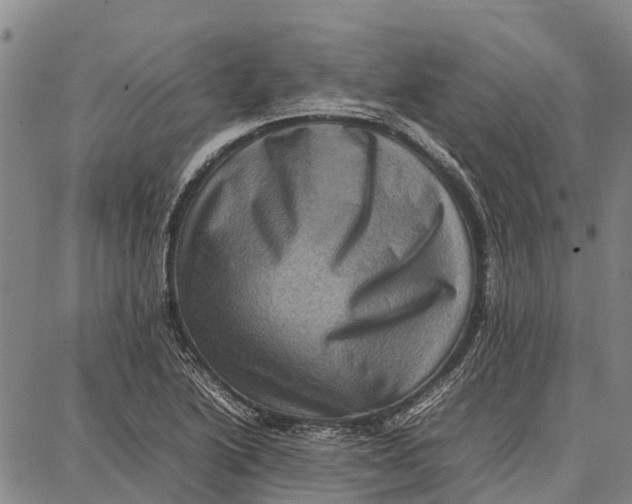 X0000087051222200705091127