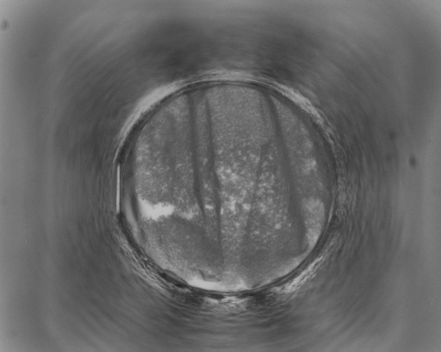 X0000087051223200705091127