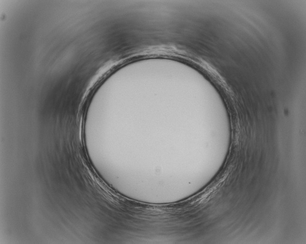 X0000087051224200705091127