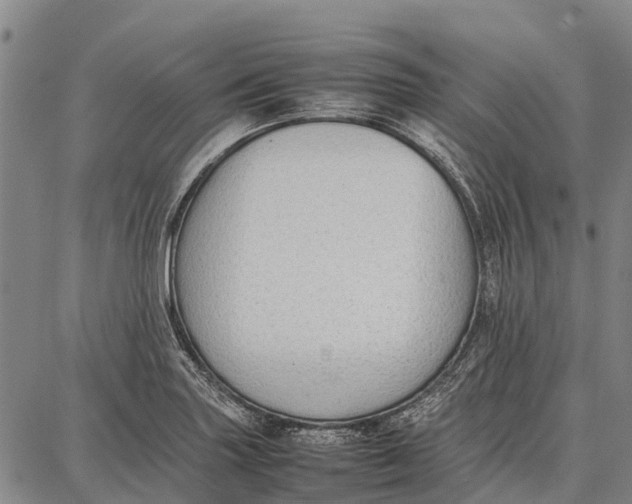 X0000087051227200705091127