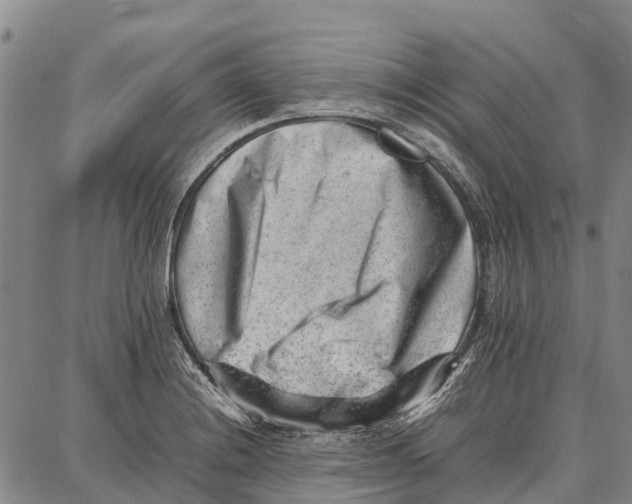 X0000087051228200705091127