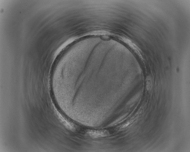 X0000087051229200705091127