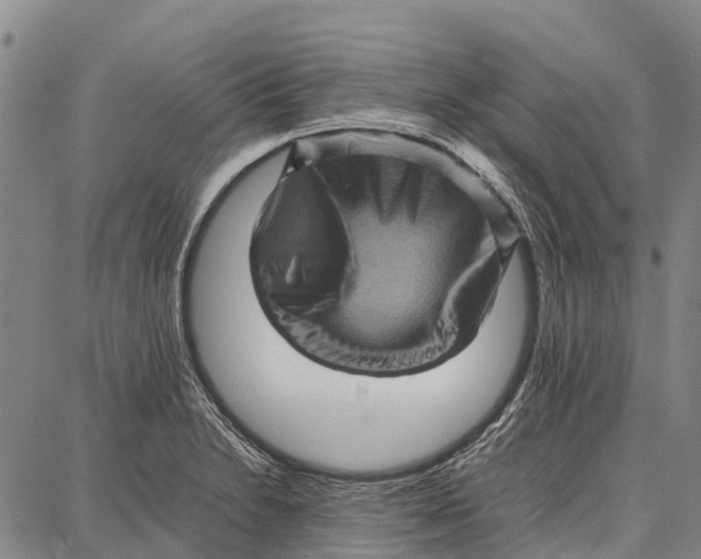 X0000087051230200705091127