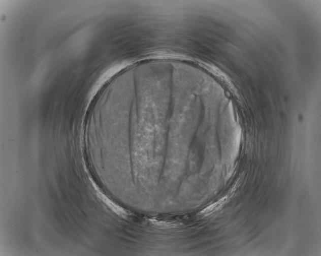 X0000087051231200705091127