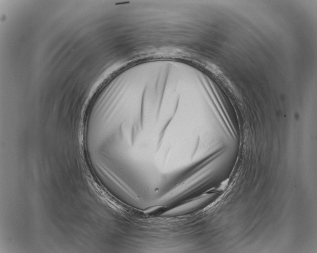 X0000087051232200705091127