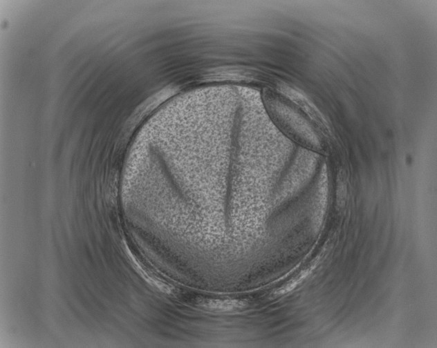 X0000087051233200705091127