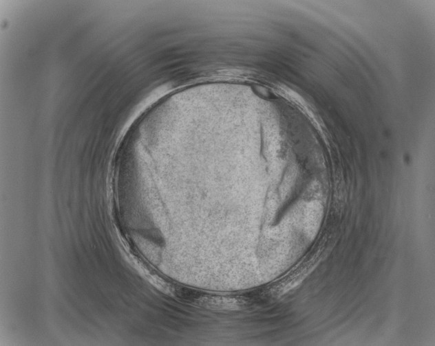 X0000087051235200705091127