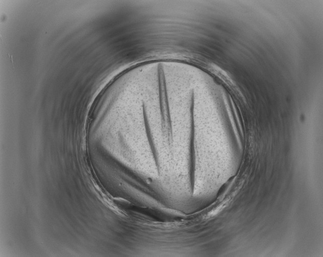 X0000087051236200705091127