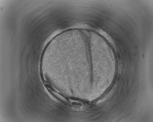 X0000087051237200705091127