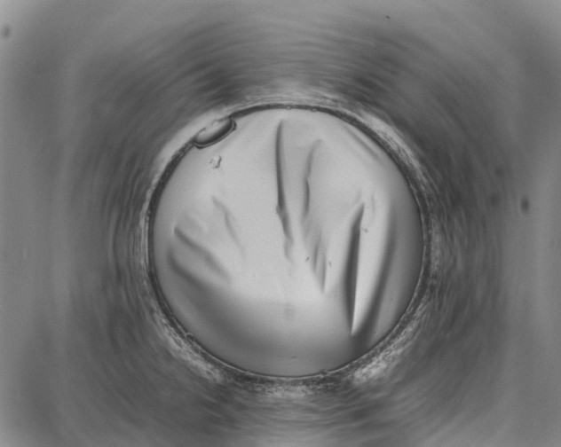 X0000087051238200705091127