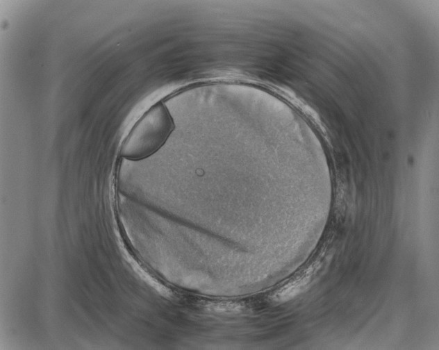 X0000087051239200705091128