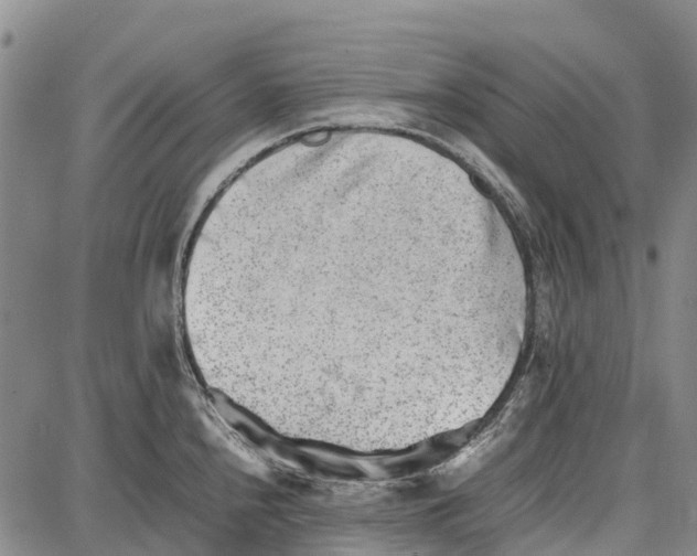 X0000087051240200705091128