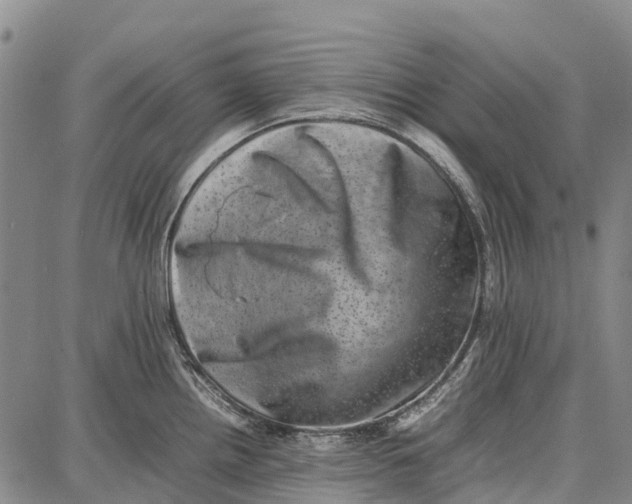 X0000087051242200705091128