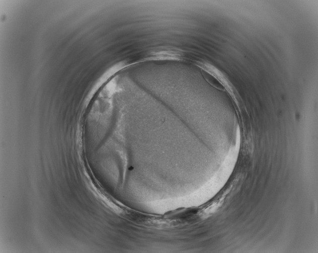 X0000087051243200705091128