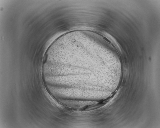 X0000087051244200705091128