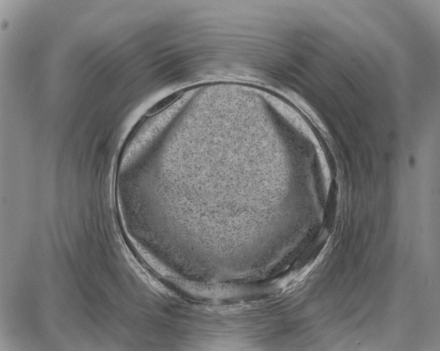 X0000087051246200705091128