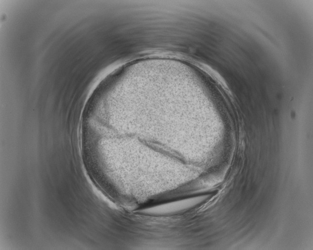 X0000087051247200705091128