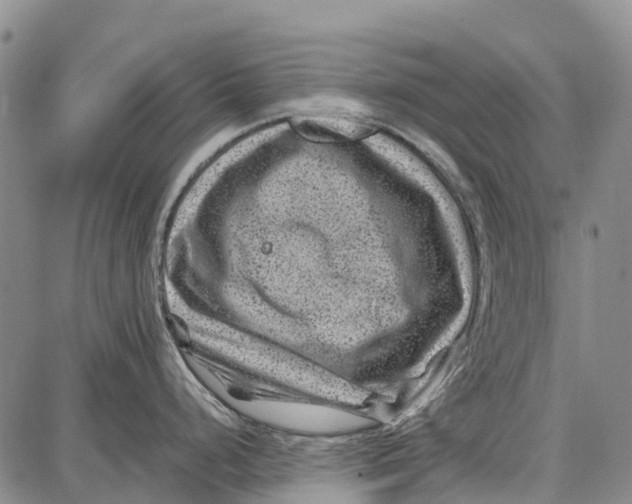 X0000087051248200705091128