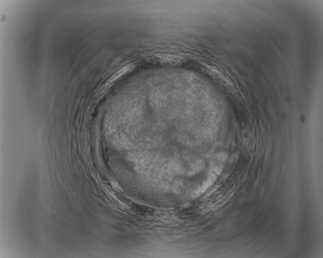 X0000087051249200705091127