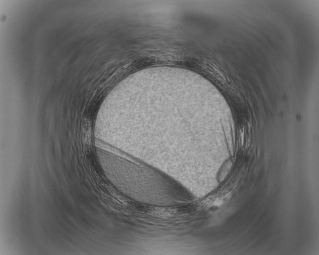 X0000087051251200705091127