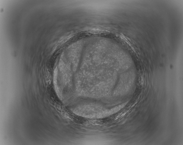 X0000087051253200705091127