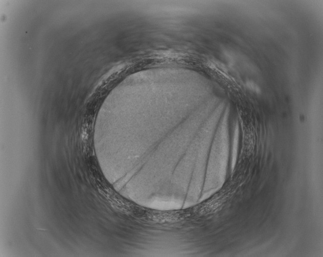 X0000087051254200705091127