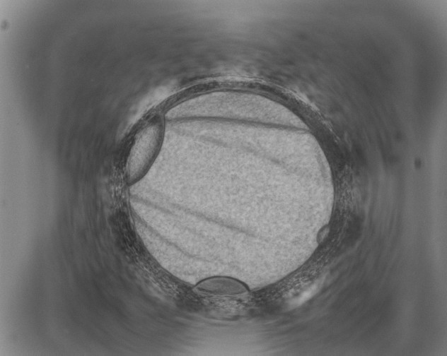 X0000087051255200705091127