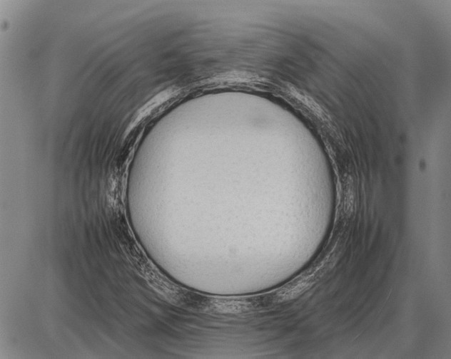 X0000087051258200705091127