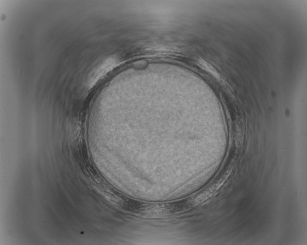 X0000087051259200705091127