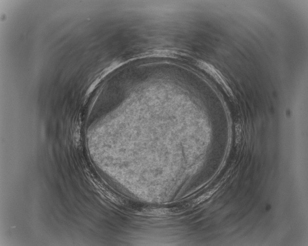 X0000087051260200705091127