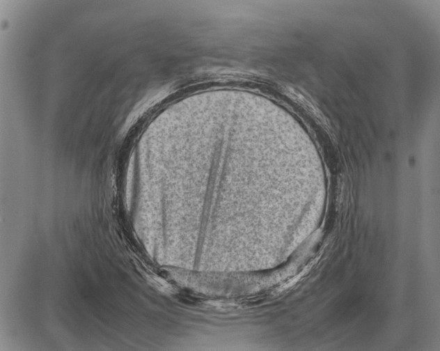 X0000087051261200705091127