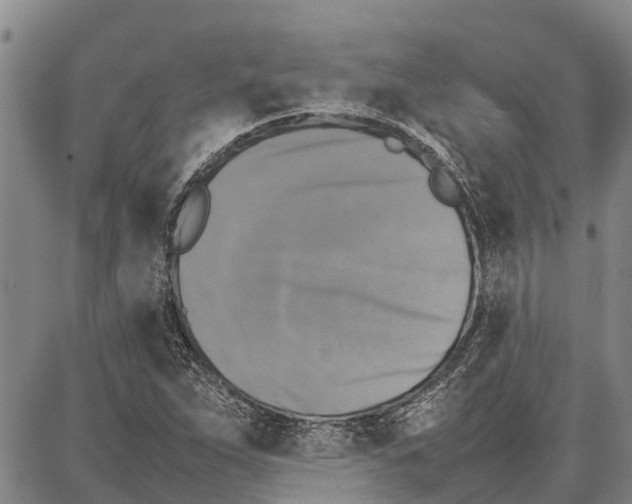 X0000087051263200705091127