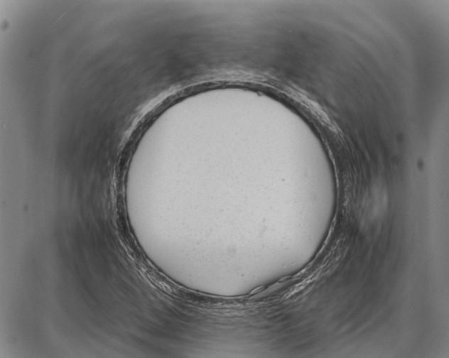 X0000087051264200705091127