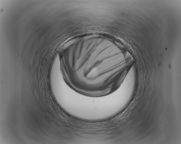 X0000087051265200705091127