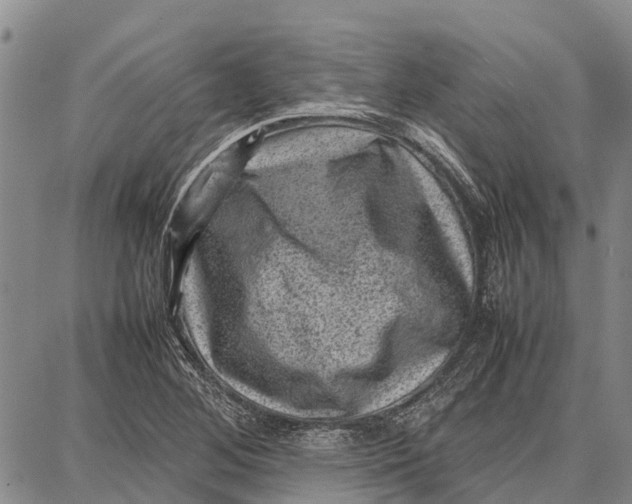 X0000087051268200705091127