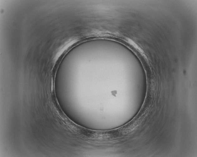 X0000087051269200705091127