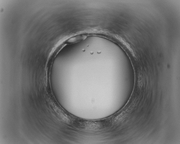 X0000087051270200705091127