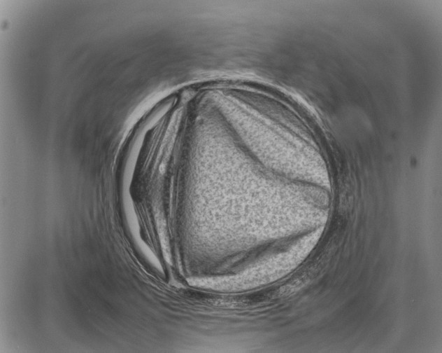 X0000087051271200705091127